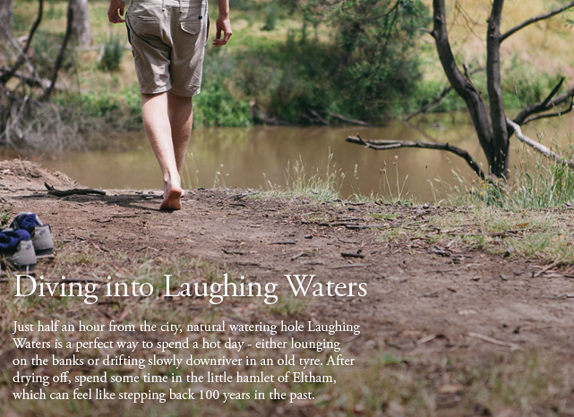 Diving Into Laughing Waters